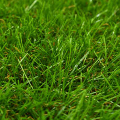 vidaXL Artificial Grass 3.3'x49.2'/1.6" Green