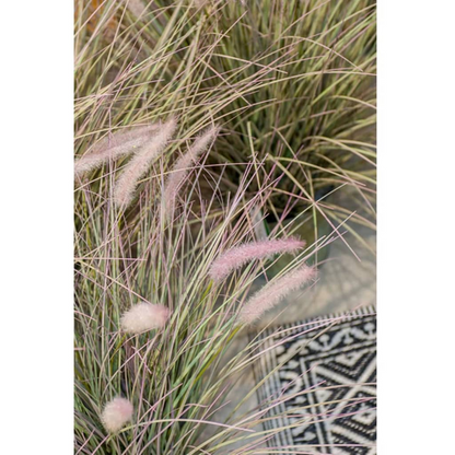 Emerald Artificial Pennisetum Green 71 cm 418155