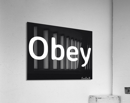 Obey - Art By Concordia