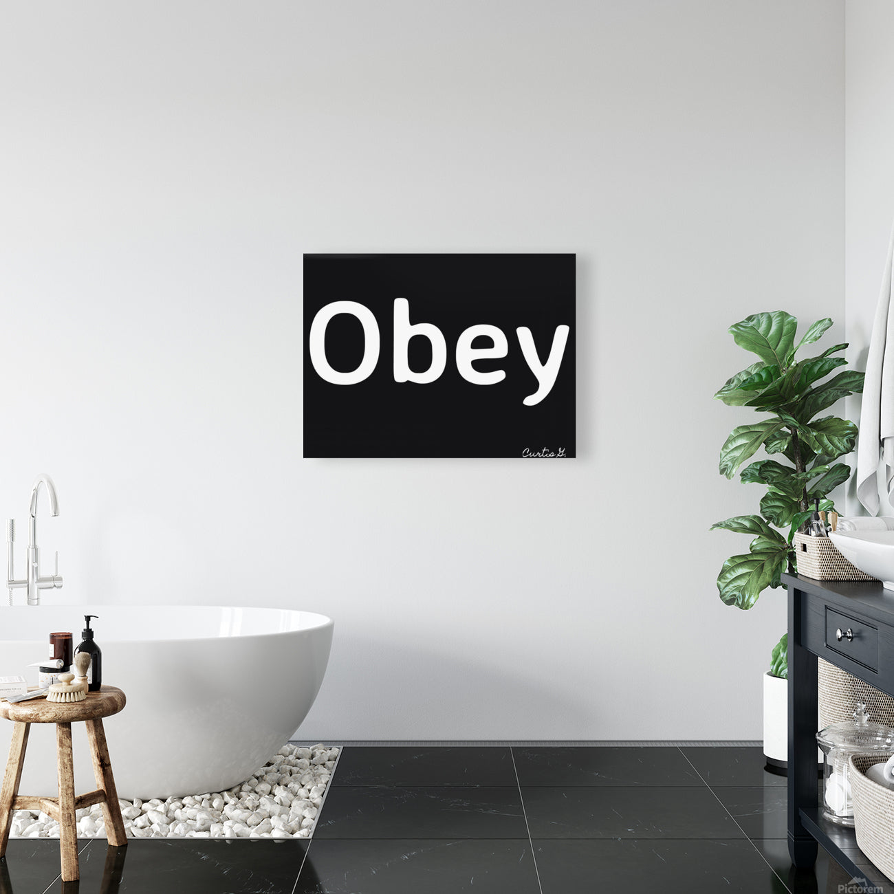 Obey - Art By Concordia