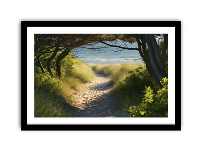 Beach Path Framed Print