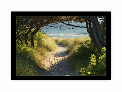 Beach Path Framed Print