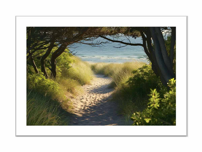 Beach Path Framed Print